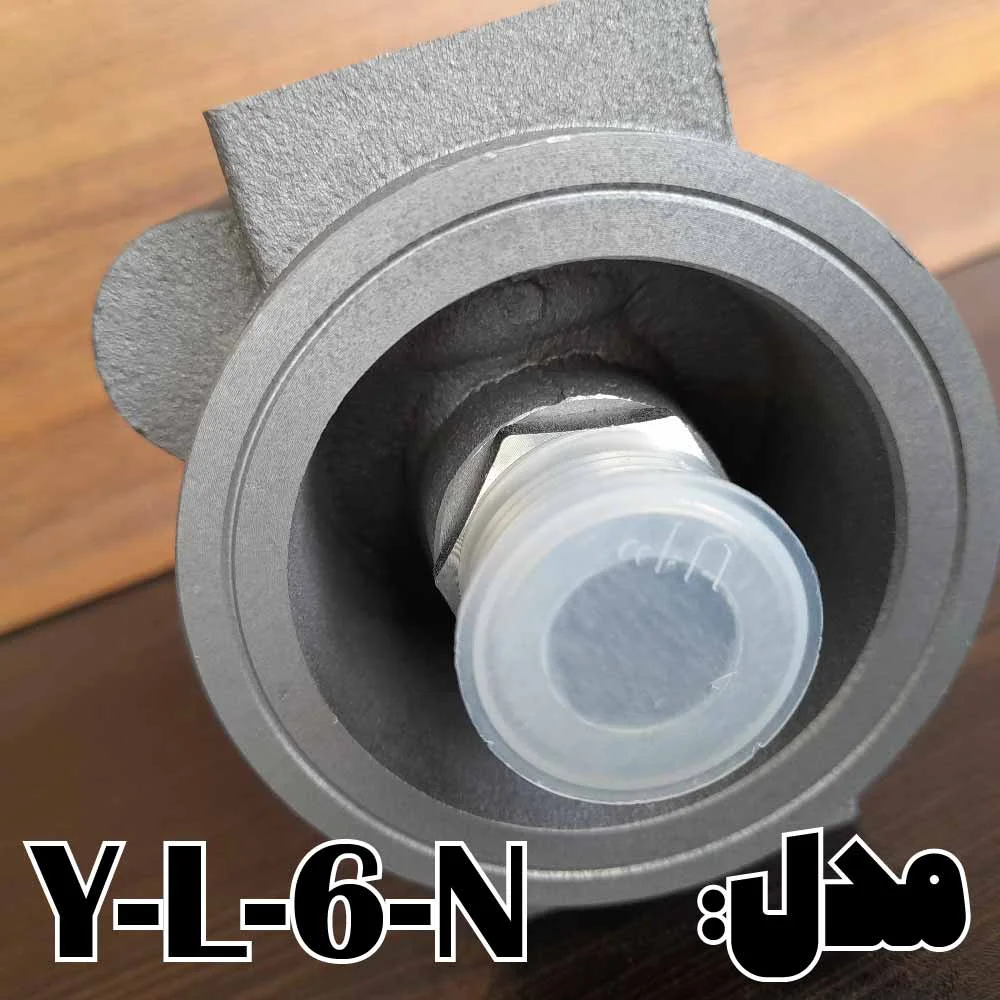 yl6n